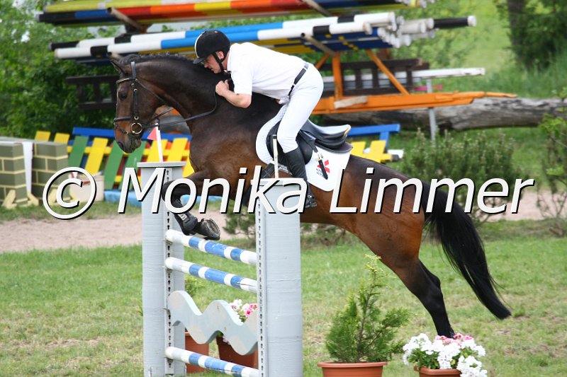 105M2654_Coco B_Springpf_L.JPG